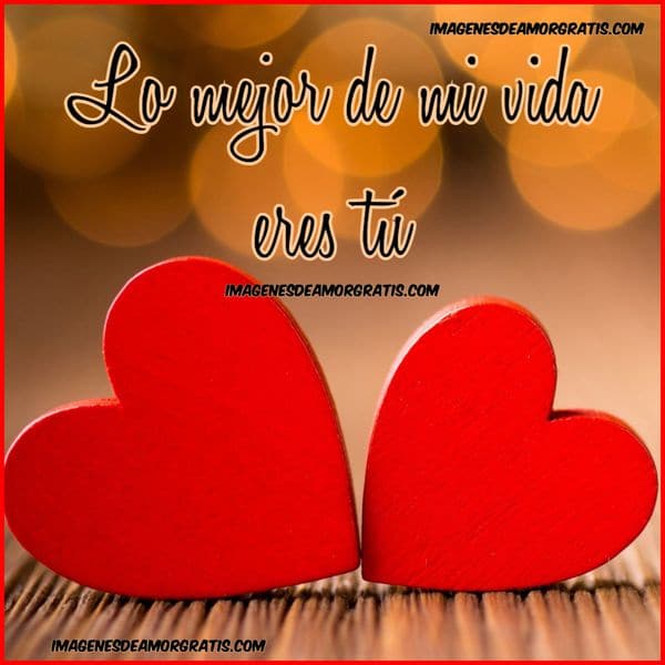 mi vida eres tu