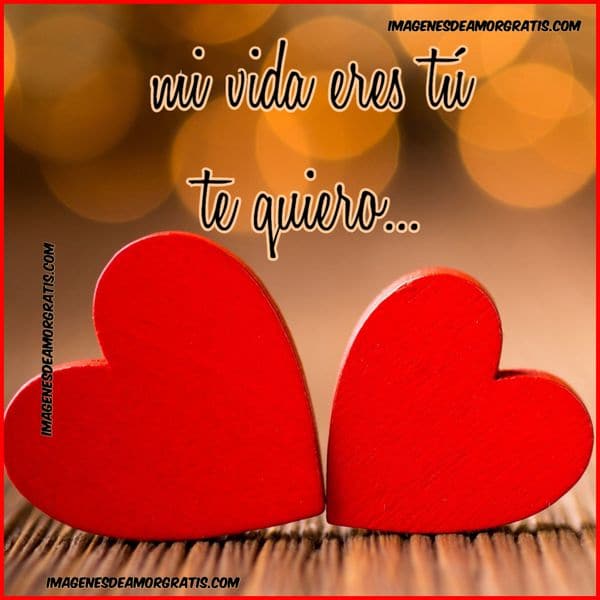mi vida eres tu