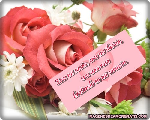 imagenes de amor con flores y mensajes romanticos